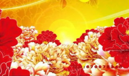 漫画国花,漫画中的中国国花风采